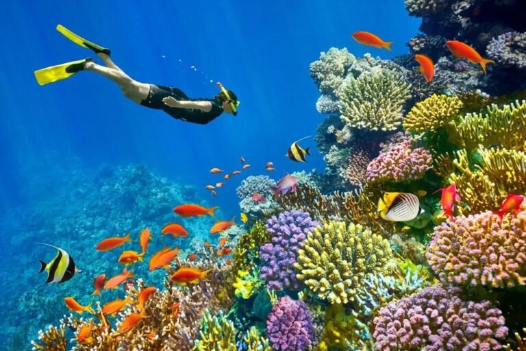 Hurghada Red Sea Snorkeling Adventure